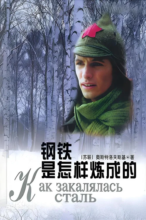 钢铁是怎样练成的 постер