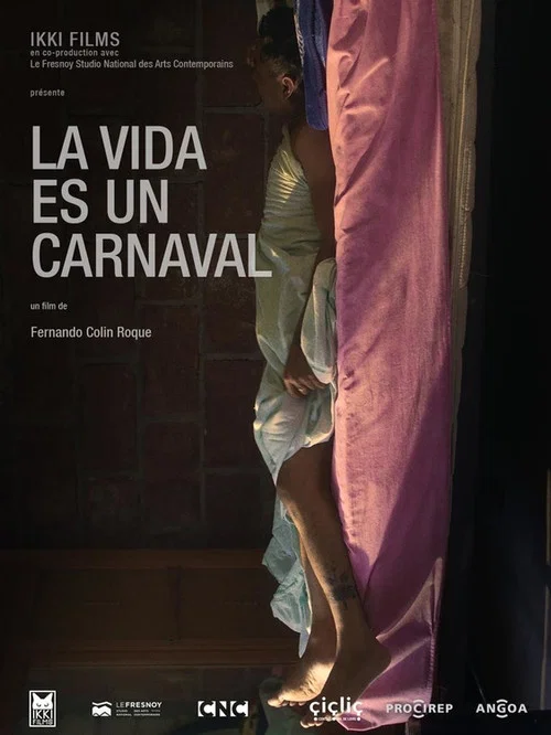 La vida es un carnaval постер