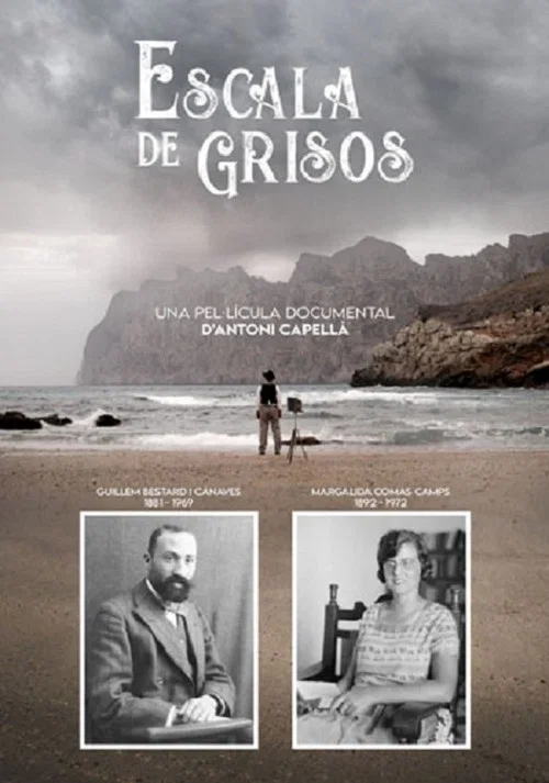 Escala de grisos постер
