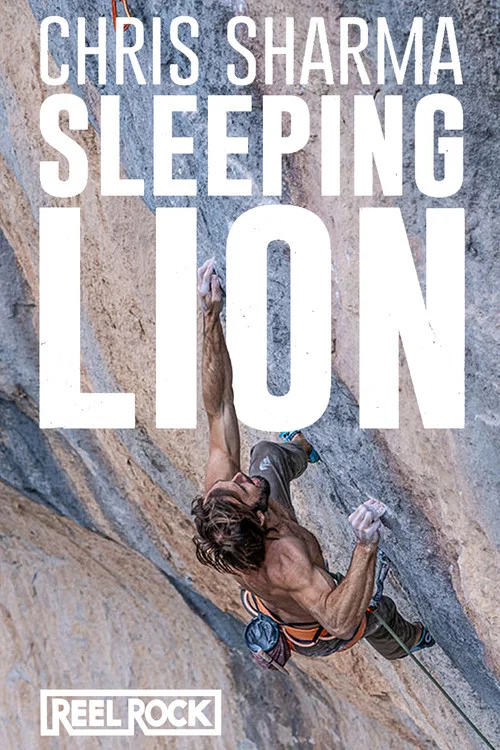 Sleeping Lion постер