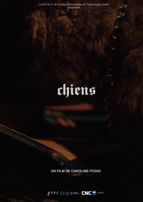 Chiens постер