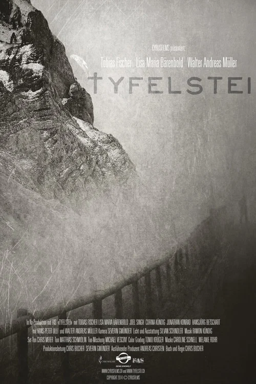 Tyfelstei постер