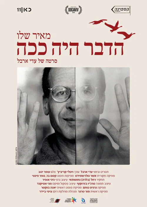 הדבר היה ככה постер