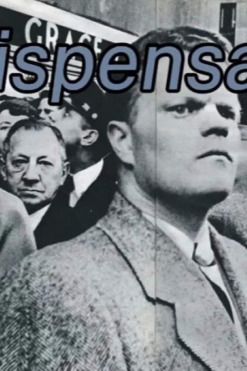 L’indispensable постер