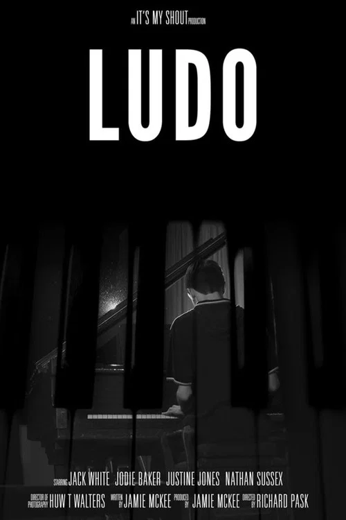 Ludo постер