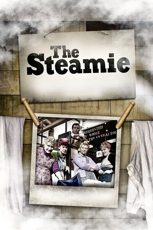 The Steamie постер