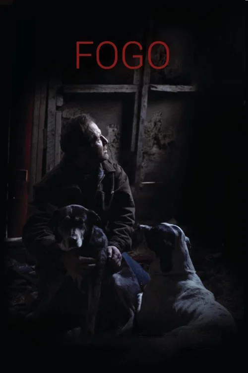 Fogo постер