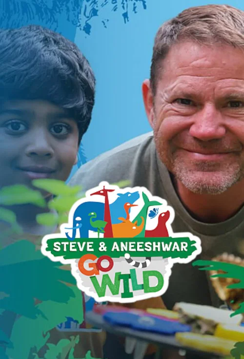 Go Wild постер