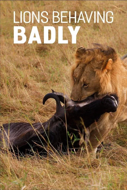 Lions Behaving Badly постер