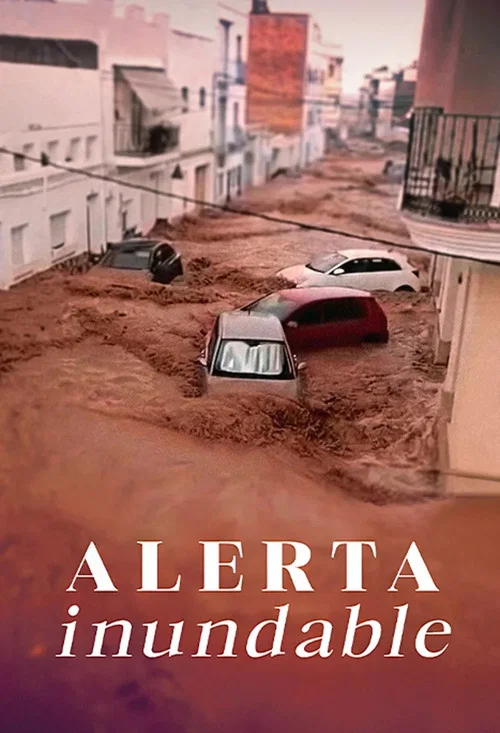 Alerta inundable постер