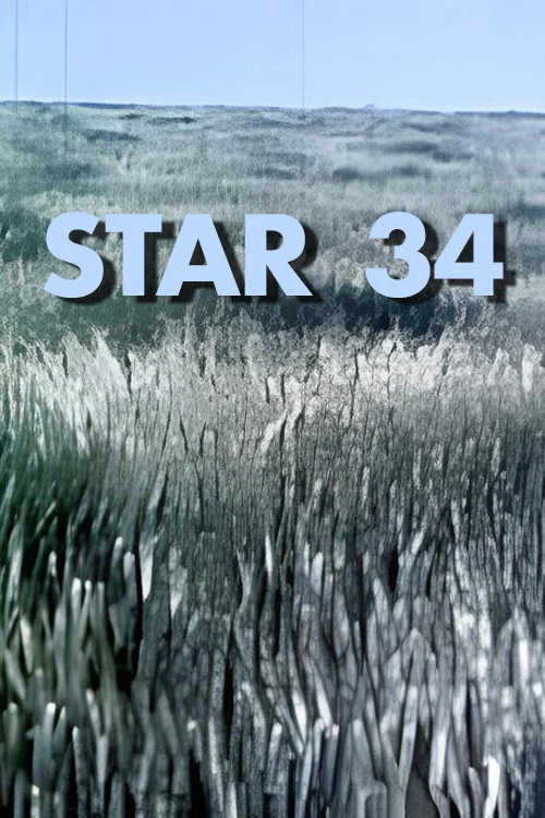 Star 34 постер