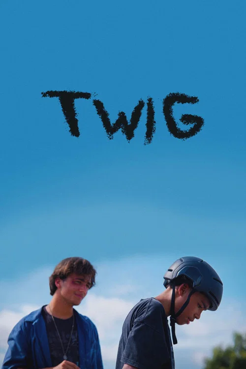 Twig постер