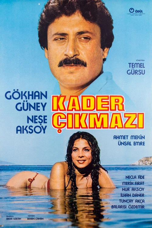 Kader Çıkmazı постер