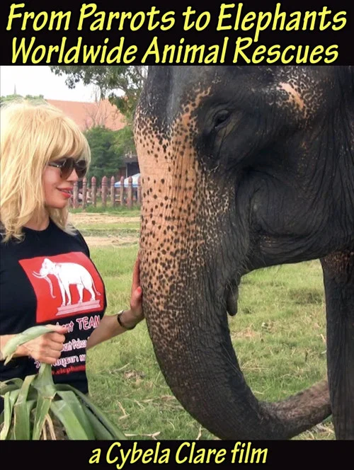 From Parrots to Elephants: Worldwide Animal Rescues постер