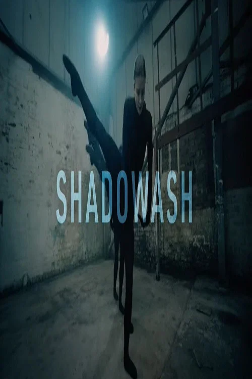 Shadowash постер