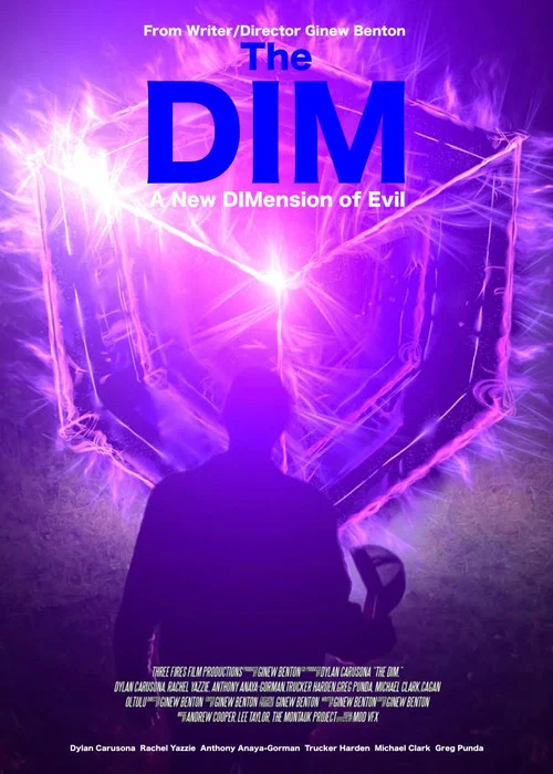 The Dim постер