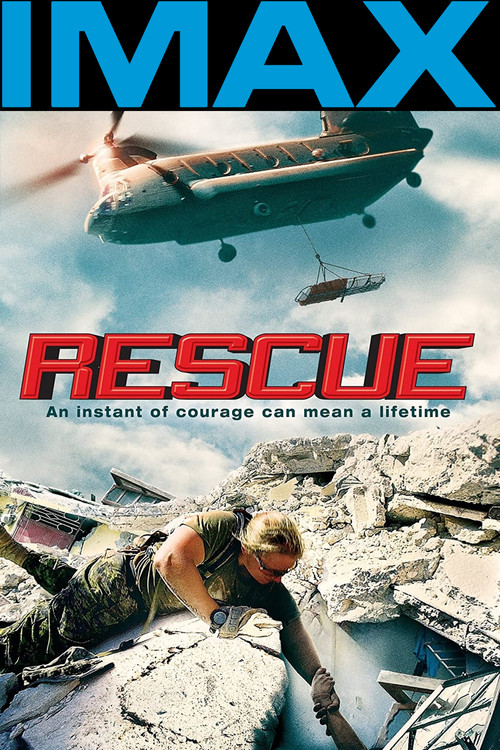 Спасатели 3D постер