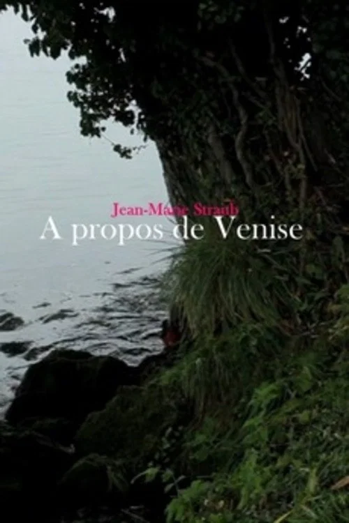 À propos de Venise постер