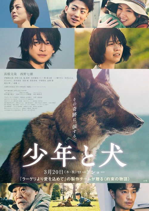 少年と犬 постер
