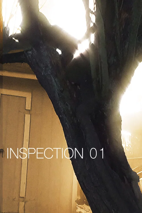 Inspection 01 постер