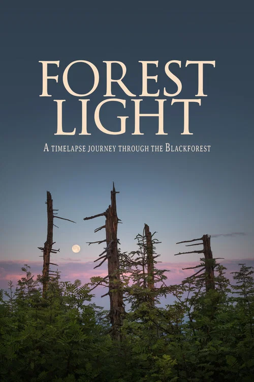 Forest Light постер