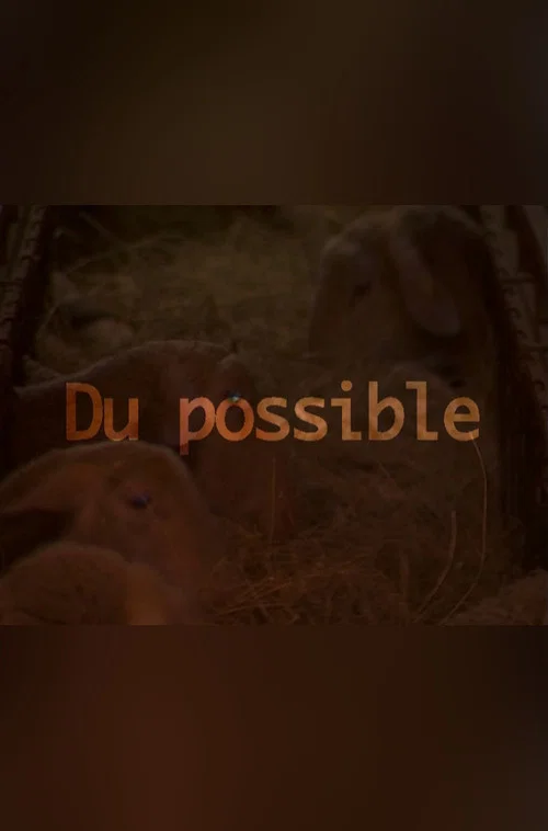 Du possible постер