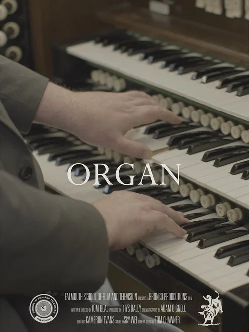 ORGAN постер