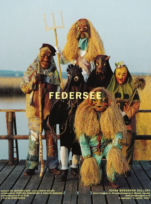 Federsee постер