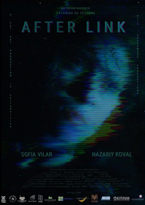 After Link постер