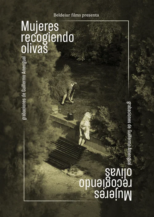 Mujeres recogiendo olivas постер