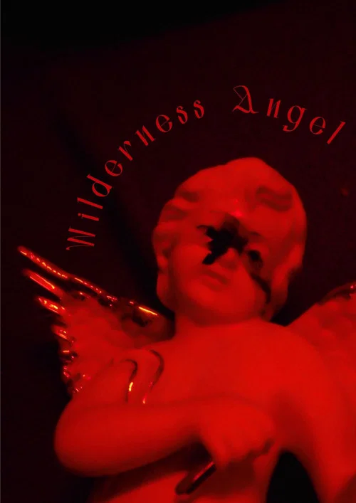 Wilderness Angel постер
