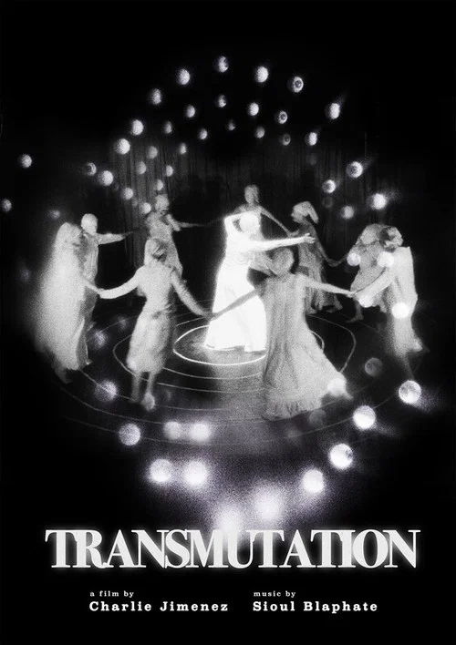 Transmutation постер