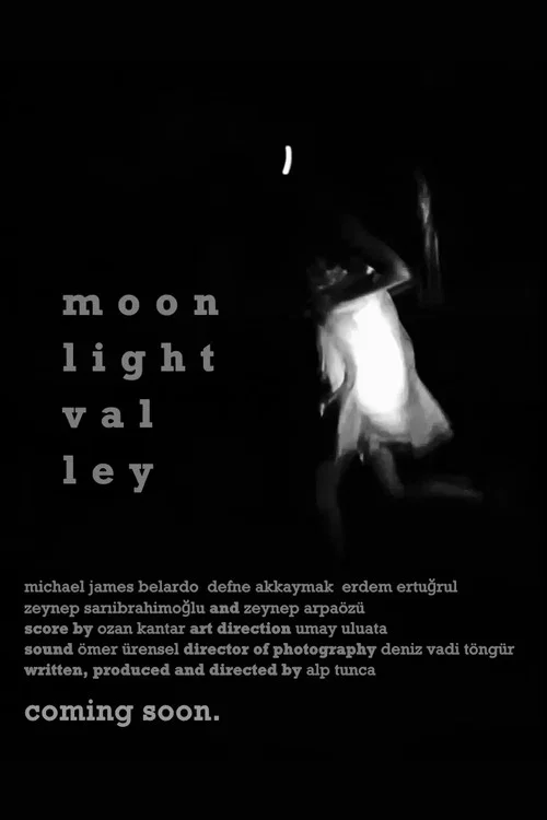 Moonlight Valley постер