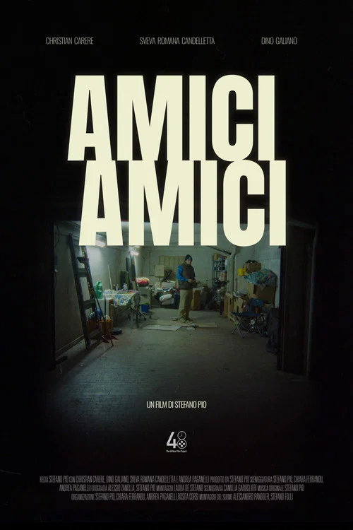 Amici Amici постер