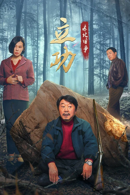 立功·东北旧事 постер