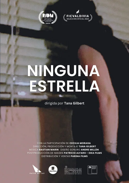 Ninguna estrella постер