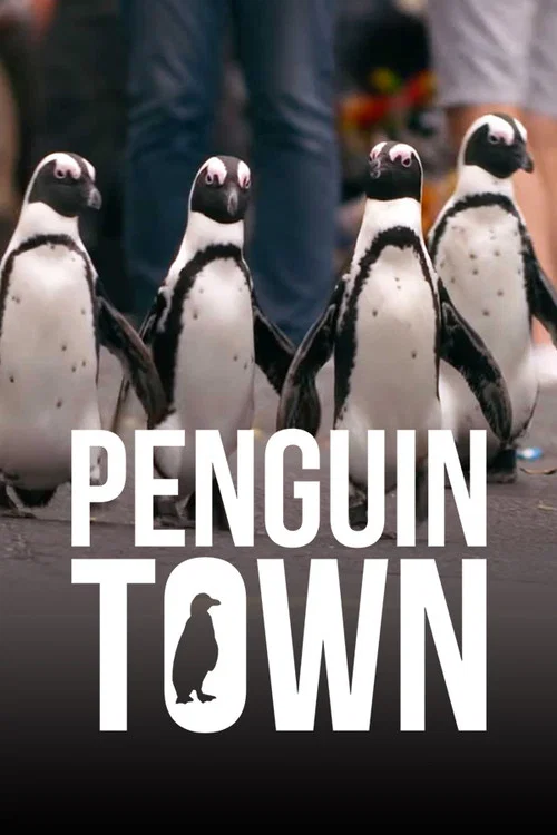 Penguin Town постер