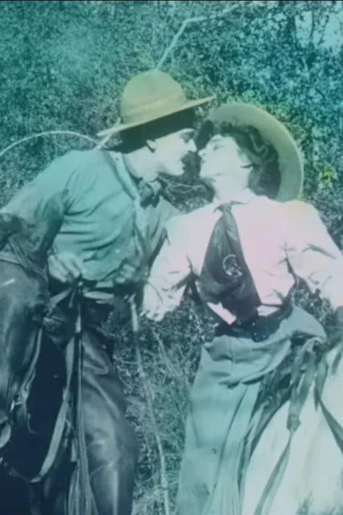 The Cowboy and the Schoolmarm постер