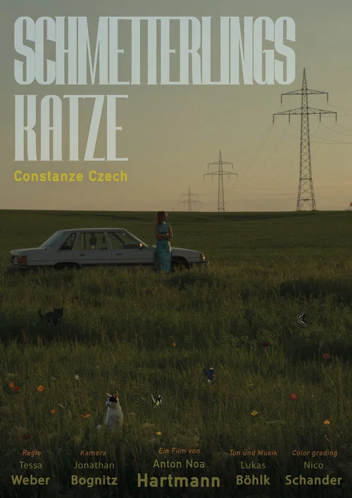 Schmetterlingskatze постер