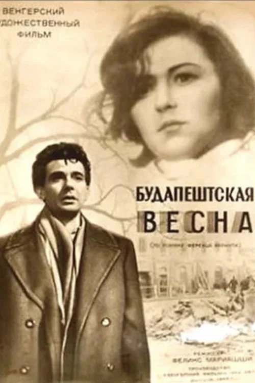 Будапештская весна постер