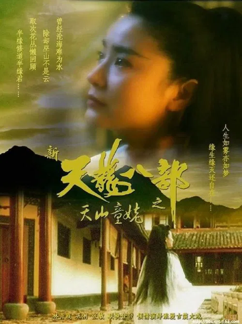 新天龍八部之天山童姥 постер