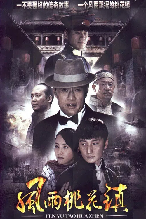 风雨桃花镇 постер