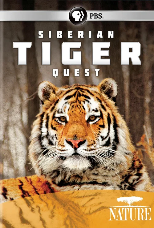Siberian Tiger Quest постер
