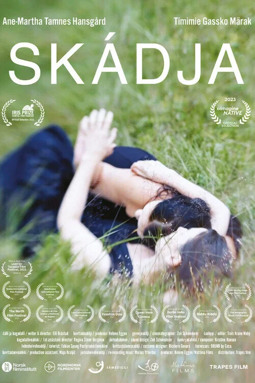 Skádja постер
