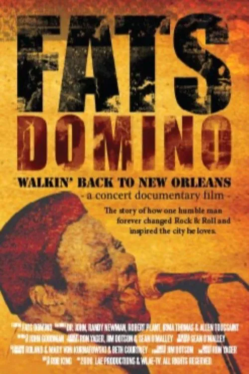 Fats Domino: Walkin' Back to New Orleans постер