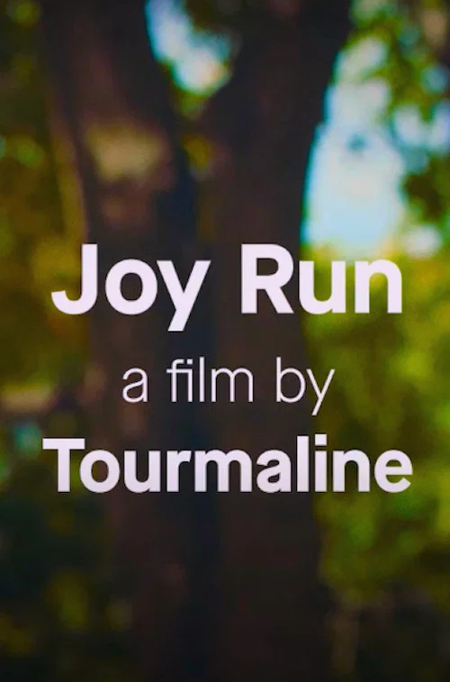 Joy Run постер