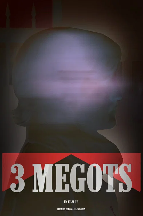 3 MEGOTS постер