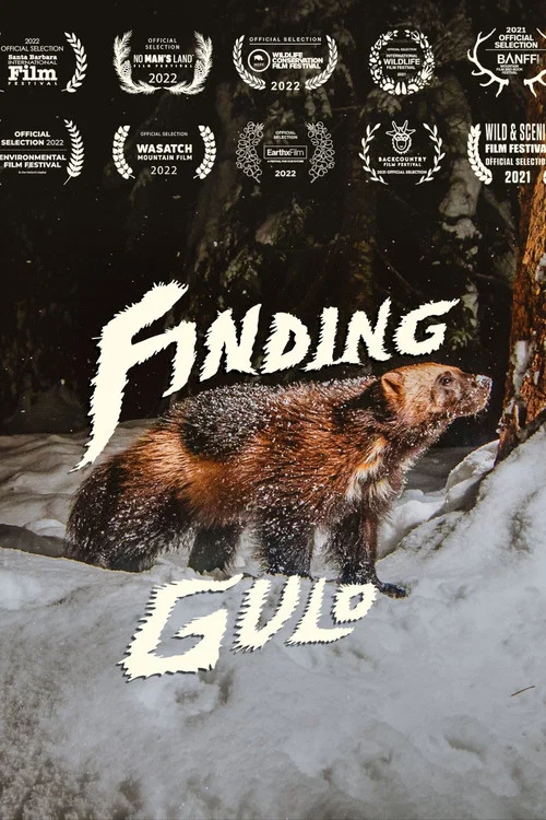 Finding Gulo постер