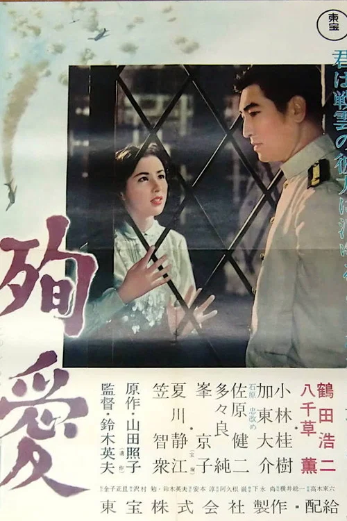 殉愛 постер