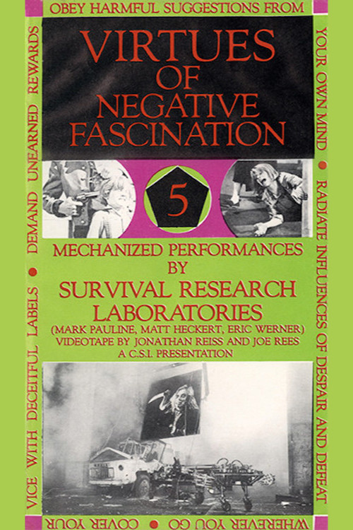 Virtues Of Negative Fascination постер